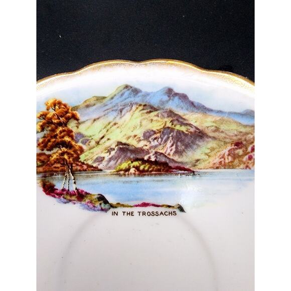 VTG Taylor & Kent Scottish Clan Cameron Lusterwear Tea Cup Saucer Bone China - Picture 3 of 16